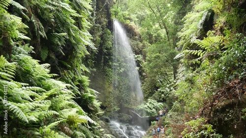Wasserfall im Dschungel