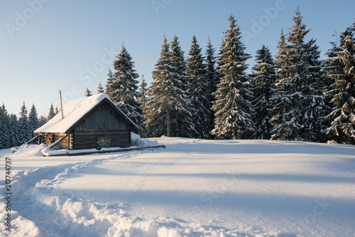 Winter landscape of a mountain forest with a cabin. Trail stamped in the snow towards the cabin. Fir-trees and a cabin covered with snow. © ianachyrva