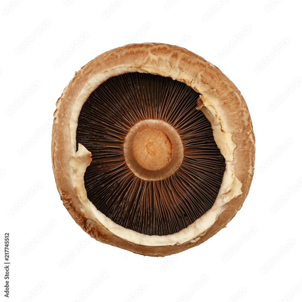 One brown portobello mushroom isolated on white One brown portobello mushroom isolated on white