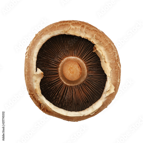 One brown portobello mushroom isolated on white