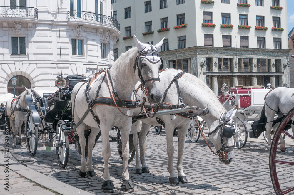 Traditional horse carriage in downtown, Vienna, Austria