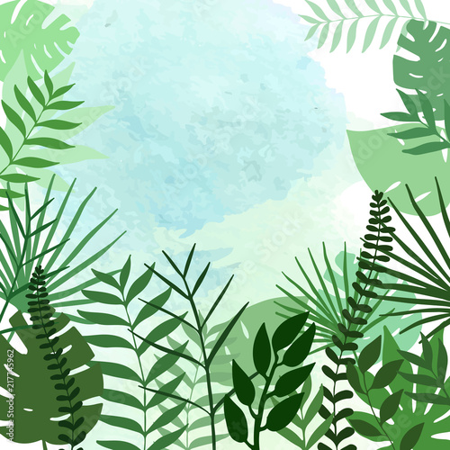 colorful tropical background frame