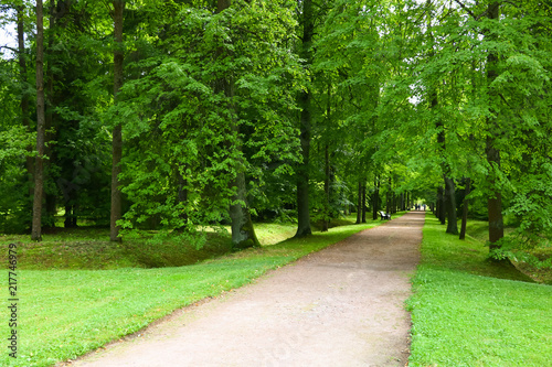 Fototapeta Naklejka Na Ścianę i Meble -  beautiful green park