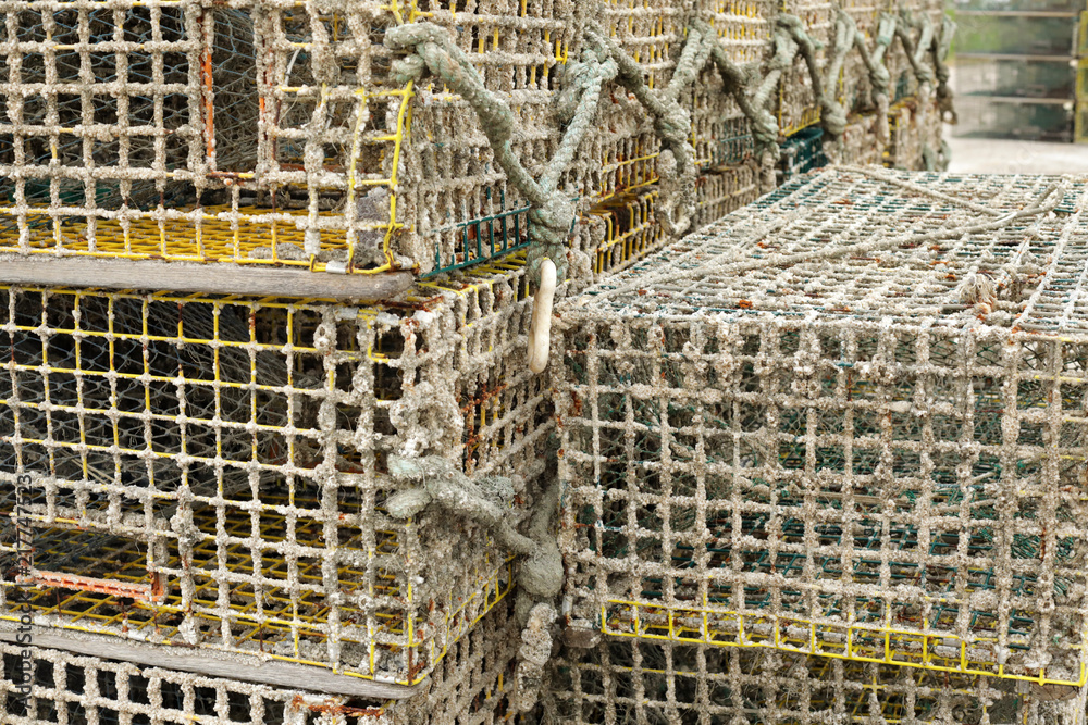 crab traps