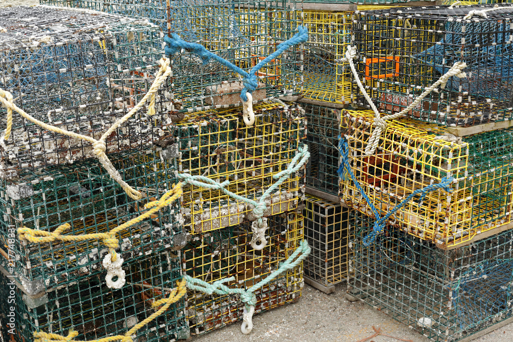 crab traps