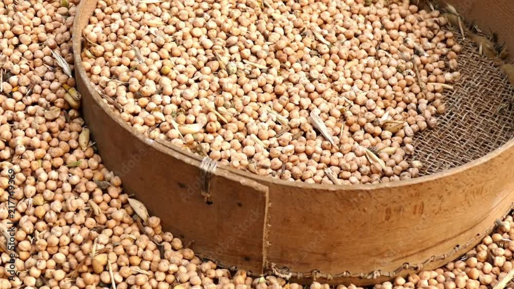 dry chickpeas are cleaned with sieve, dry chickpeas and sieve
dry chickpeas are cleaned with sieve, dry chickpeas and sieve