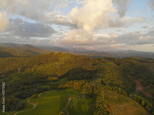 Drone Shot Aerial Beautiful landscape at tea plantation. Aerial view - landscape of tree  mountain from the top of mountain a sunny cloudy day