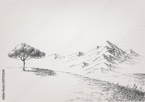 Alpine meadow hand drawing. High hills and mountains in the background