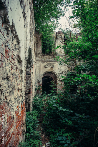 Fototapeta Naklejka Na Ścianę i Meble -  Old ruins of a medieval abandoned ruined red brick castle with arches overgrown with trees and plants