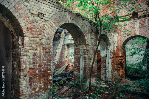 Old ruins of a medieval abandoned ruined red brick castle with arches overgrown with trees and plants © DedMityay