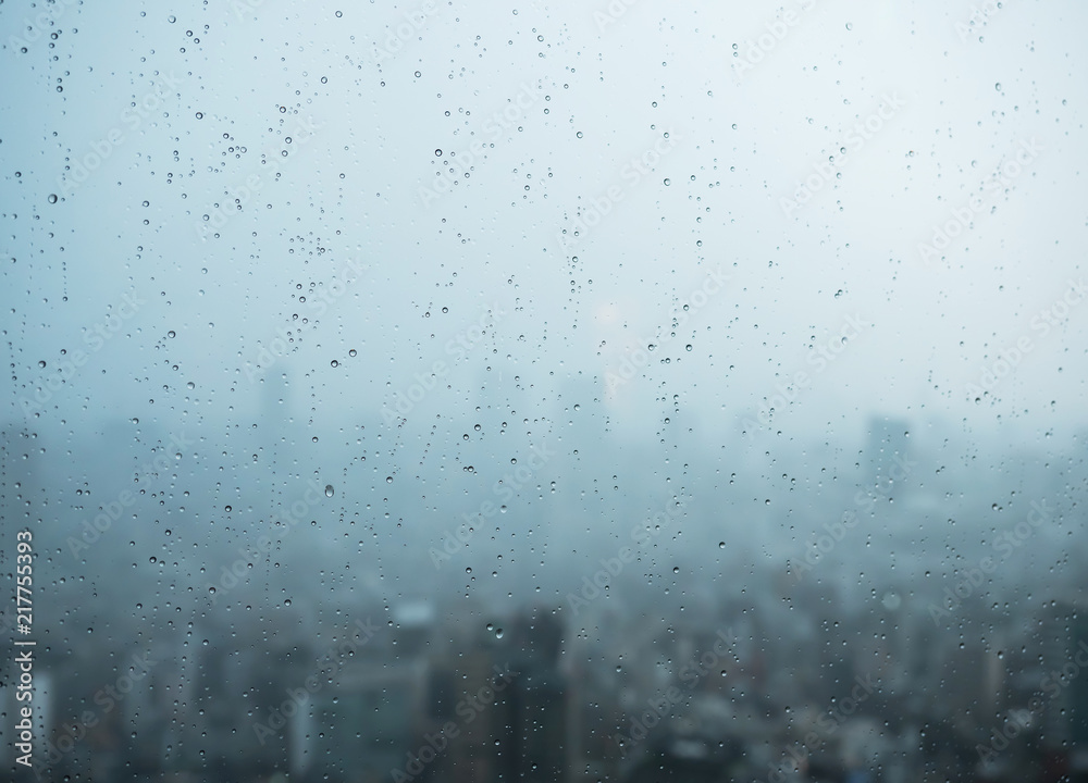 東京・雨 東京・雨