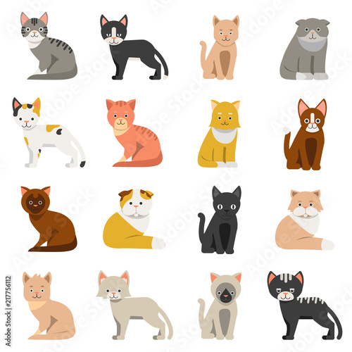 Funny cats in flat style. Isolate on white background