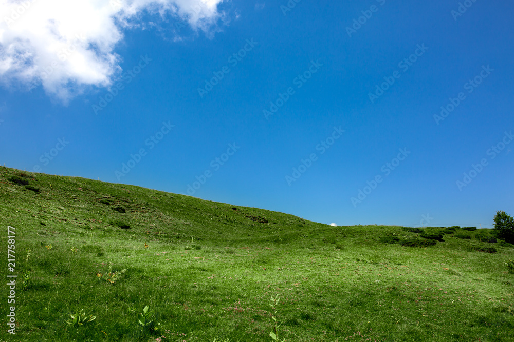 Green grass hill and blue sky with clouds. Background Green grass hill and blue sky with clouds. Background