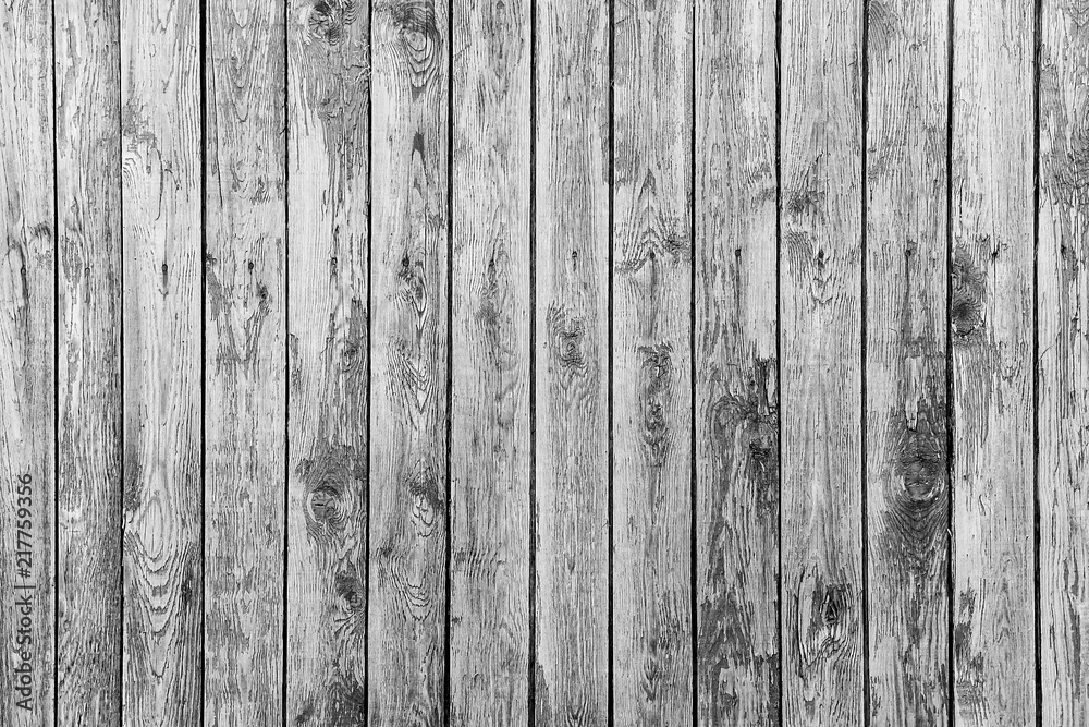 Naklejka premium Old fence from wooden boards,wooden background, black and white texture