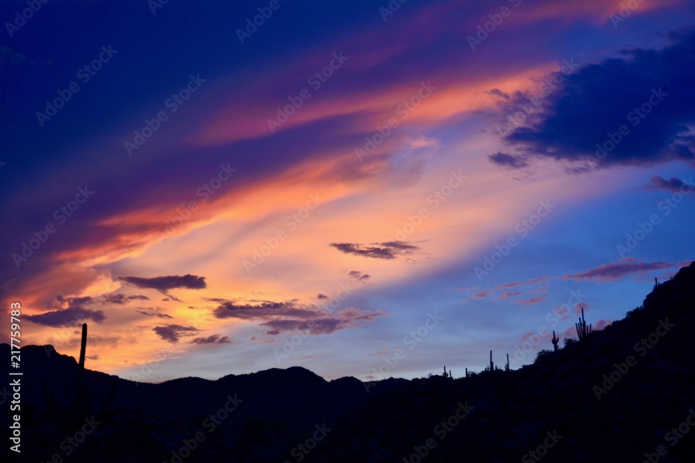 Tucson Arizona Sunset Silhouette Saguaro Monsoon Season Clouds