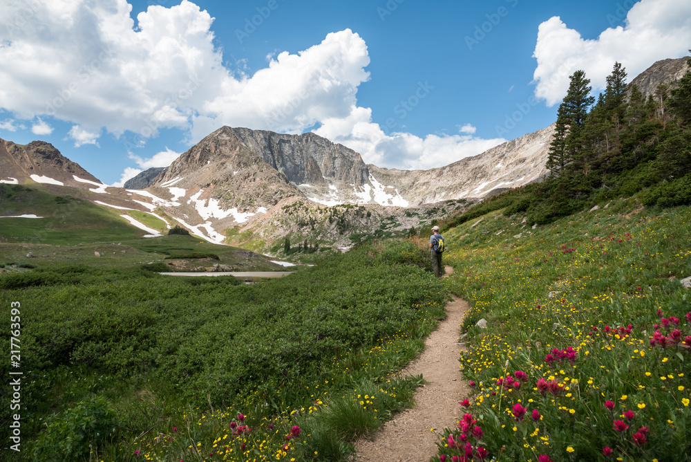 Hiking along a path of wildflowers towards American Lakes in the Never Summer Mountain Range, Colorado