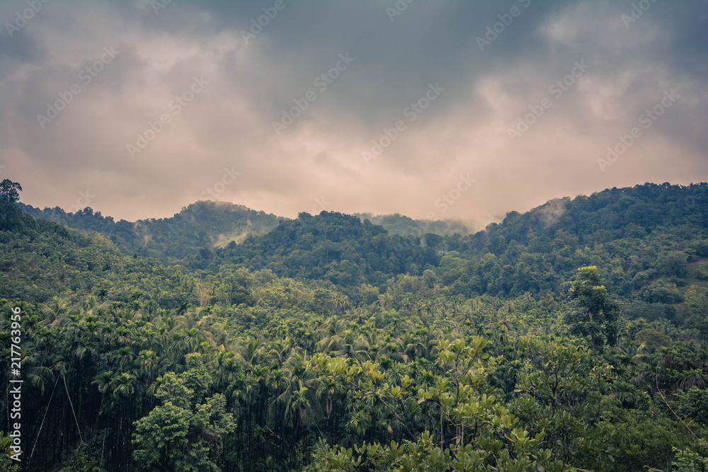 Fototapeta premium beautiful landscape- rainy season 