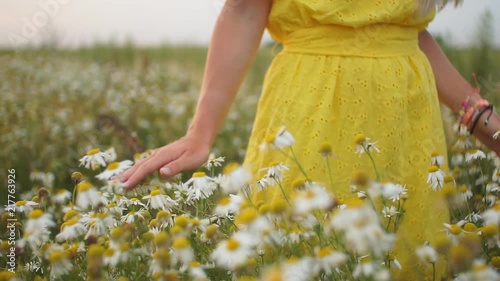 Woman picking up flowers on a meadow, hand close-up. Morning light, green grass. Vintage