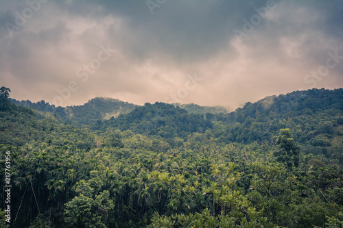 beautiful landscape- rainy season  © 35mm