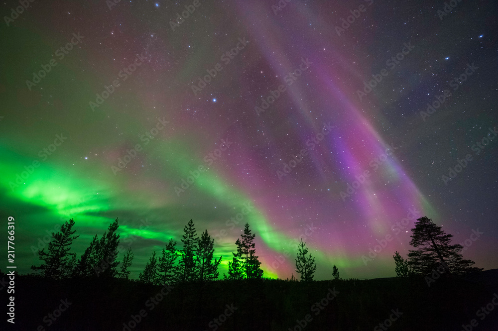 Aurora Borealis, Northern Lights, above boreal forest in Northern Finland.