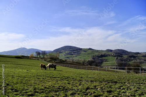 Val Trebbia