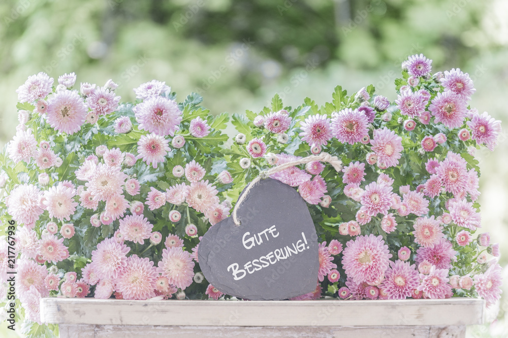 Gute Besserung, Grußkarte mit Blumen Stock-Foto | Adobe Stock