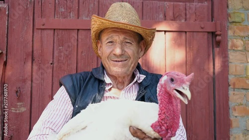 An elderly farmer in a straw hat is holding a live white turkey. Portrait of a man with a white turkey on the background of the farm