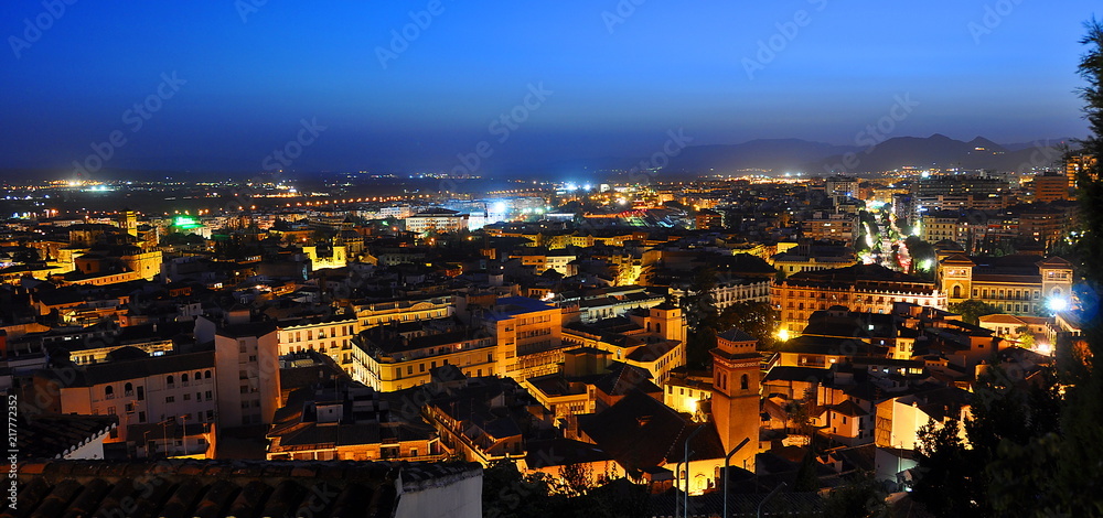 Night view of Granada, Spain