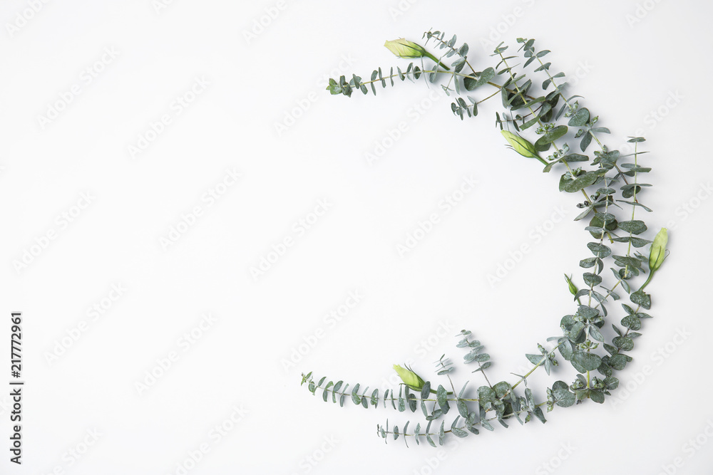 Fresh eucalyptus leaves with flowers and space for design on white background, top view