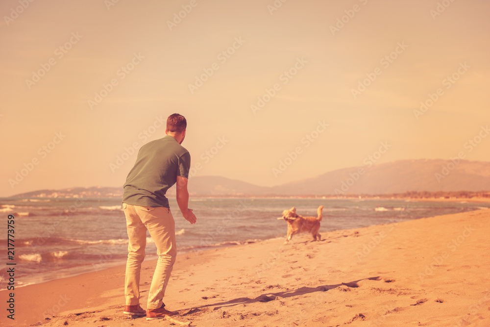 Fototapeta premium man with dog enjoying free time on the beach