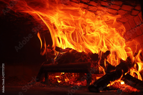 Fire wood burning in the oven