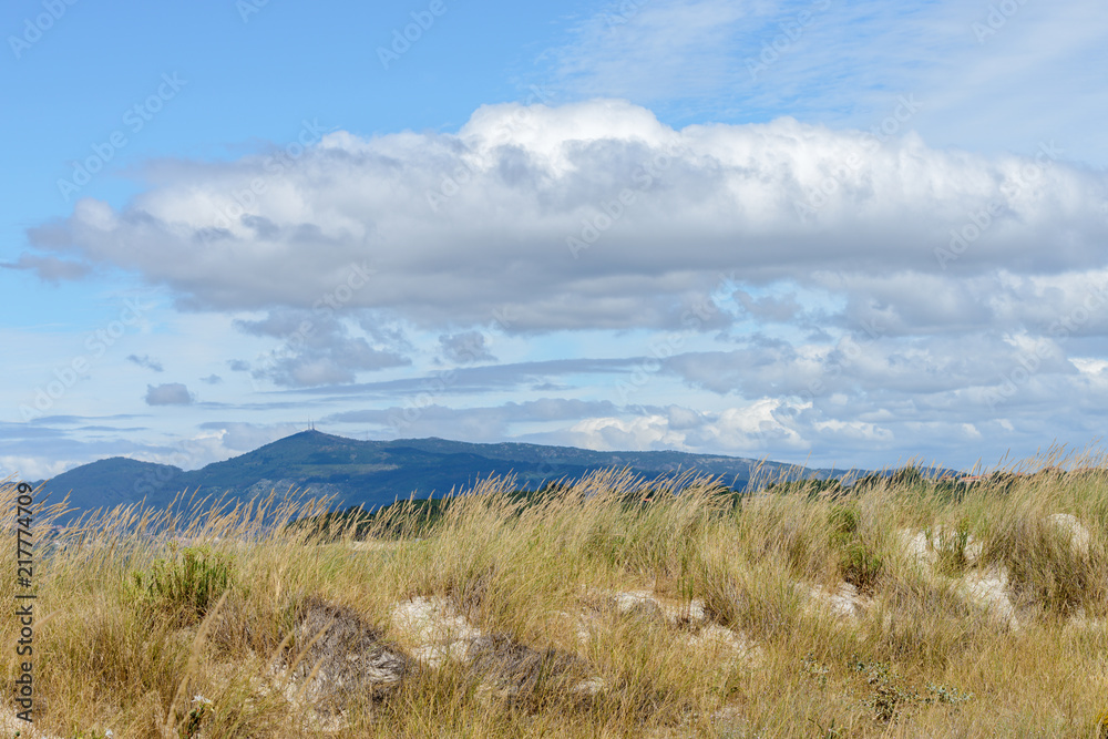 landscape with mountains on the horizon landscape with mountains on the horizon