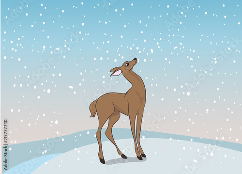 deer female color, vector