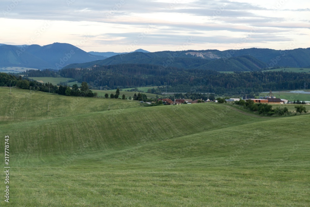 Green grass on meadow. Slovakia