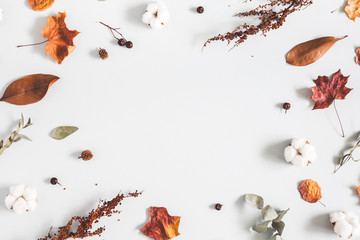 Autumn composition. Frame made of eucalyptus branches, cotton flowers, dried leaves on pastel gray background. Autumn, fall concept. Flat lay, top view, copy space