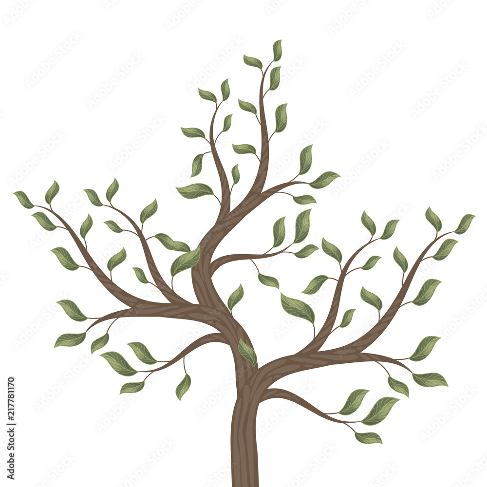 Brown Tree Branch Clip Art