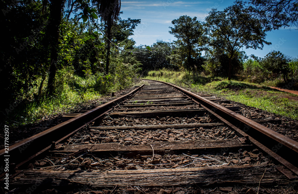 Fototapeta premium Ferrovia