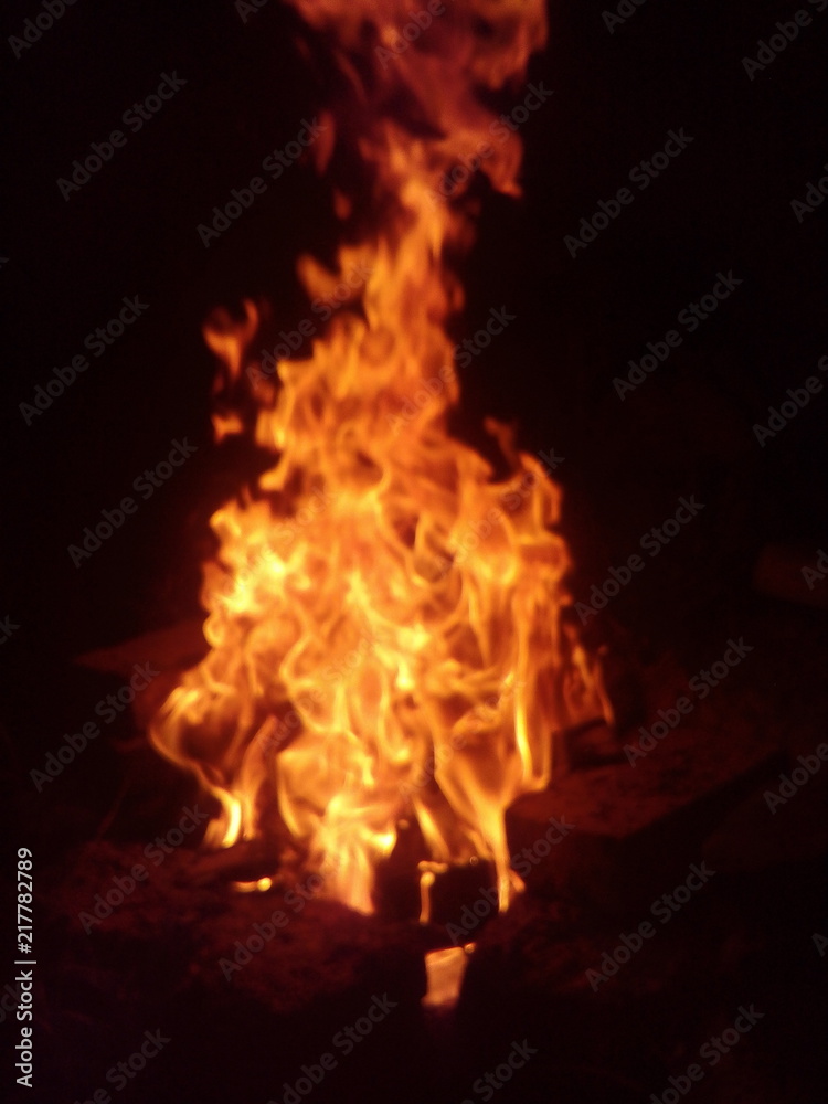 Fire flames on a black background