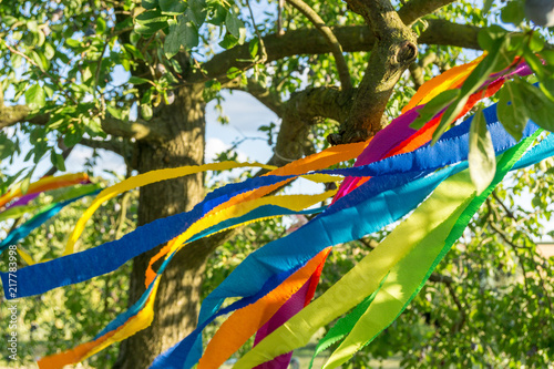 colorful decoration in the garden - tree with colored ribbons © tl6781