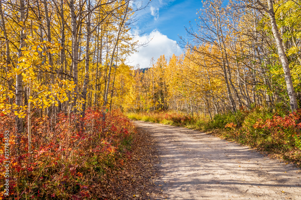 Fall colors at Barrier Lake in Kananaskis in Alberta, Canada Fall colors at Barrier Lake in Kananaskis in Alberta, Canada