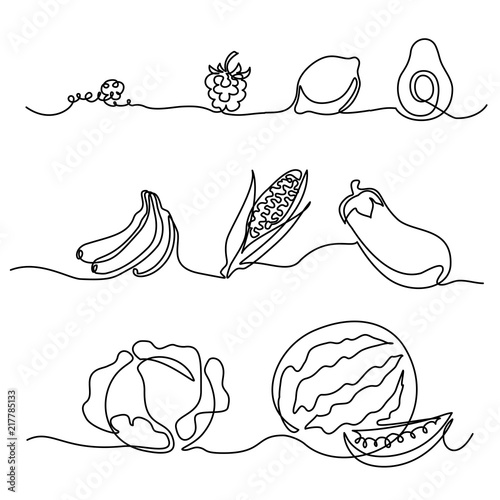 Fototapeta Continuous one line drawing. Vegetables differebt size. Vector illustration
