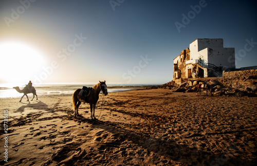 Beach, Atlantic Ocean, Morocco 