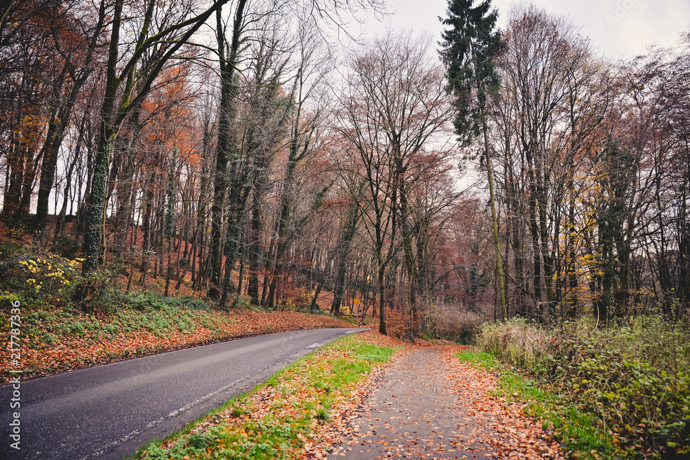 Fototapeta premium Beautiful colorful fall landscape.