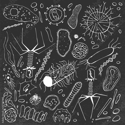 Virus hand-drawn image