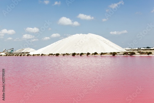 Photography Salt marshes in Aigues Mortes, France