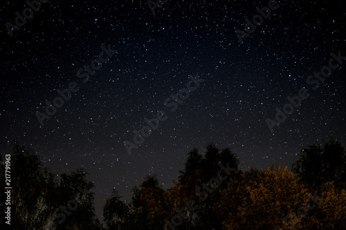  starlit sky at night above  trees  © hanohiki