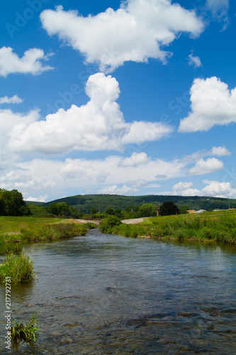 Landscape Mountain Stream Running Down Through Meadow