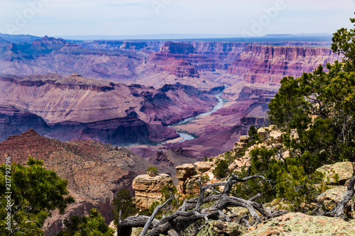 Eastern Grand Canyon, viewed from the South Rim. Rocks and pine trees on the canyon's edge, with the Colorado River below, surrounded by brightly colored rock formations. photo