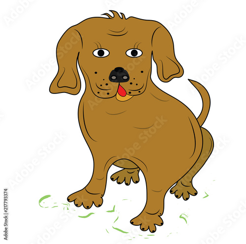 Small dog,brown sitting puppy. Object isolated. Format vector and jpg.