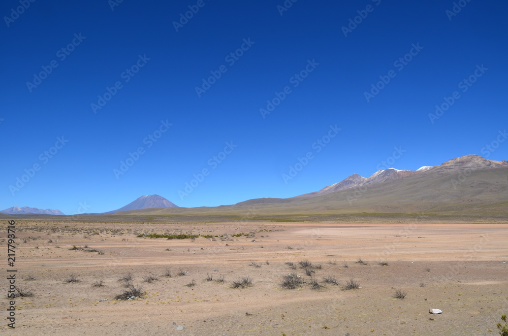 Altopiano peruviano del sud pascoli di alpaca